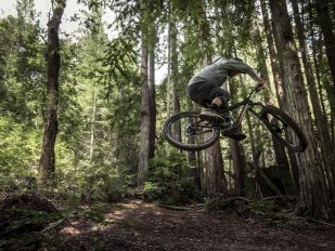 JUST BETWEEN US: ANDREW TAYLOR